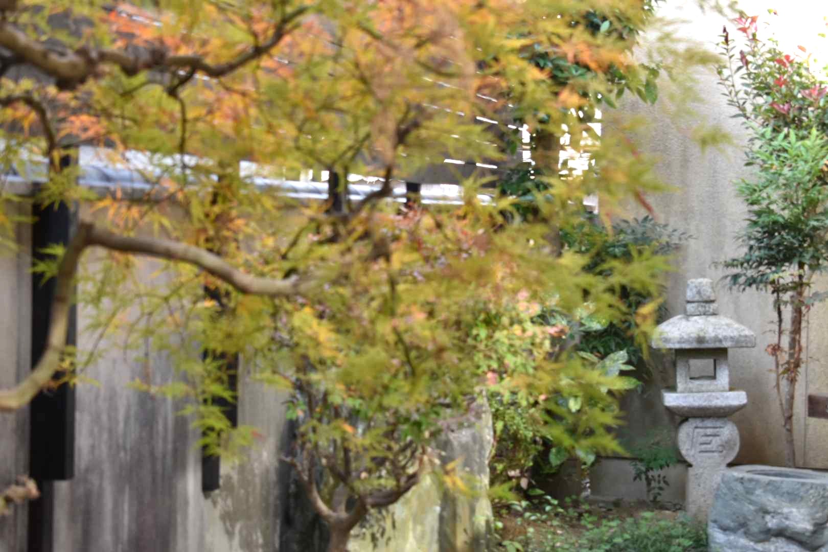 足守の古民家ゲストハウス「ゲストハウスあしもり」オープン